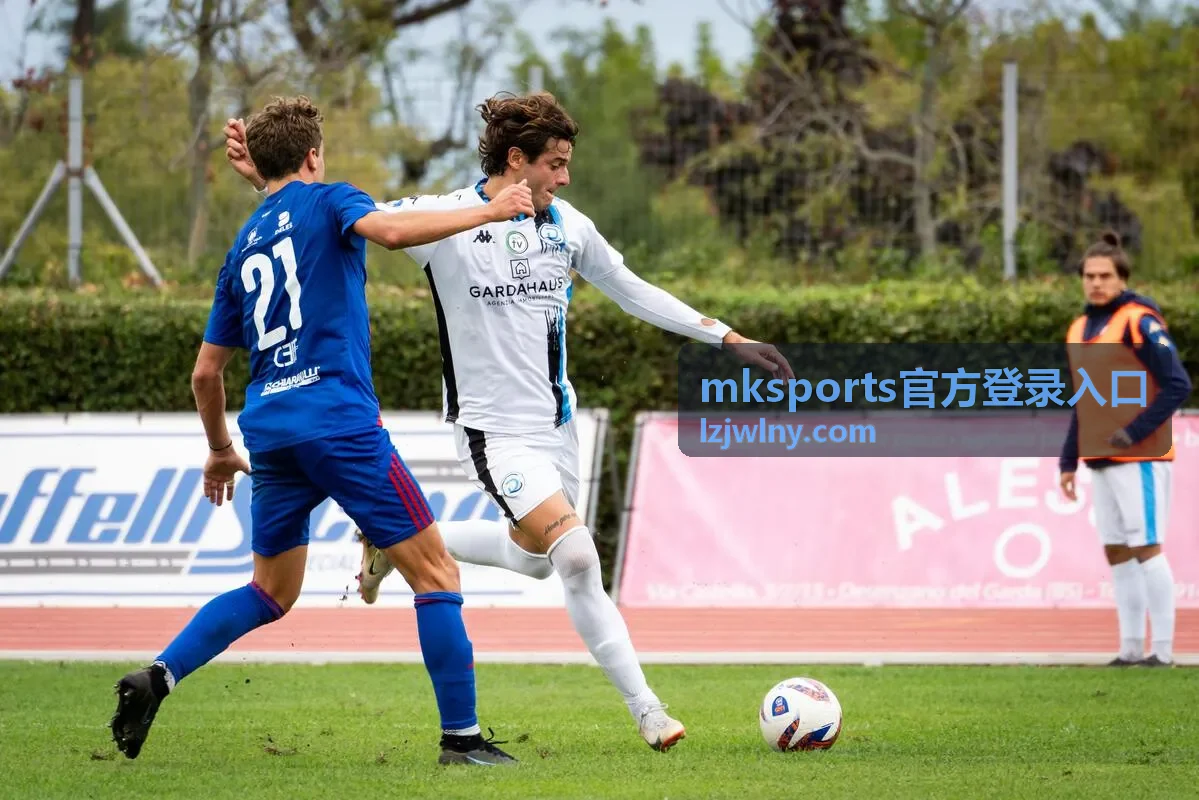 mksports官方登录入口短信验证码收不到时的排查示意