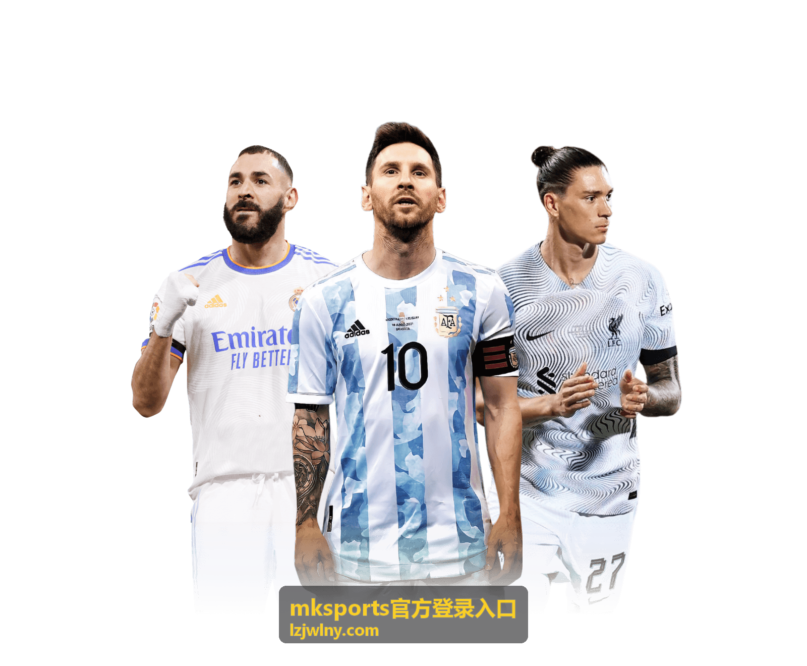 mksports官方登录入口图文解读频道封面