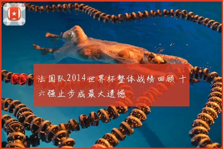 法国队2014世界杯整体战绩回顾 十六强止步成最大遗憾