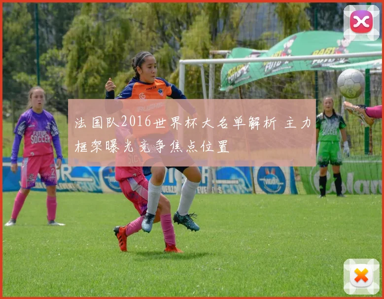 法国队2016世界杯大名单解析 主力框架曝光竞争焦点位置