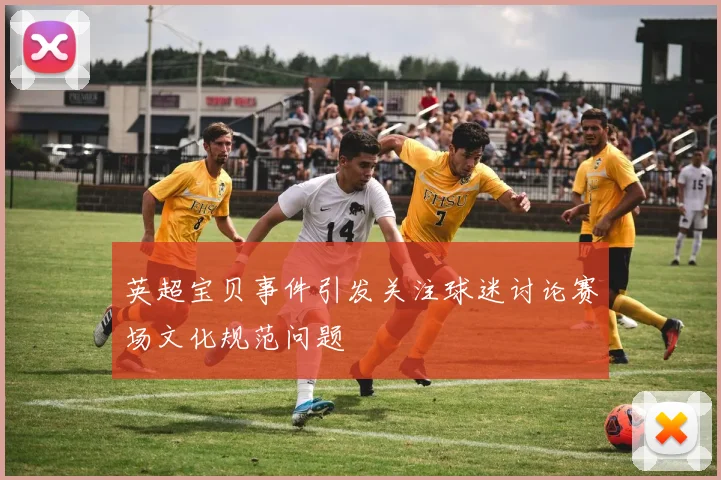 英超宝贝事件引发关注球迷讨论赛场文化规范问题